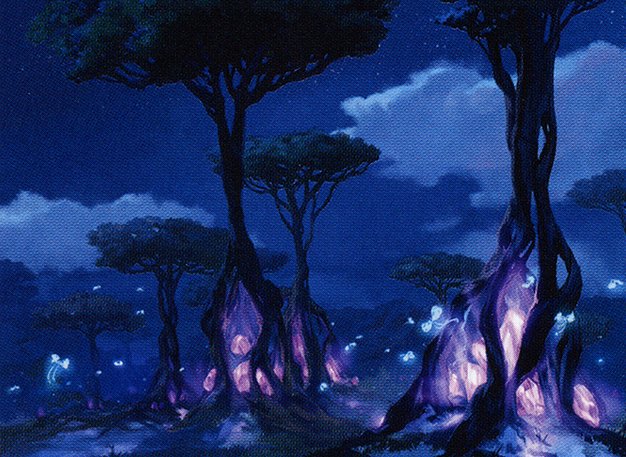 Forest