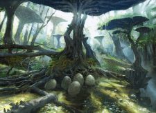 Jungle Hollow