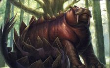 Keruga, the Macrosage