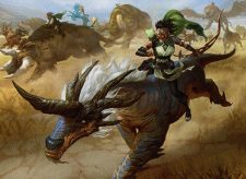 Lead the Stampede