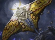 Luminous Broodmoth