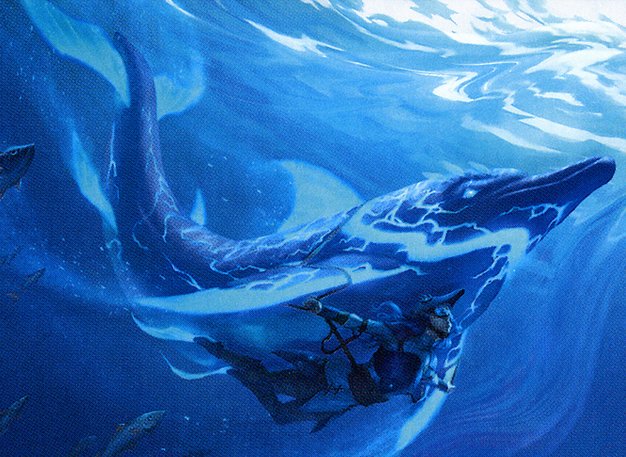 Phase Dolphin