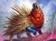 Porcuparrot