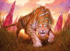 Savai Sabertooth
