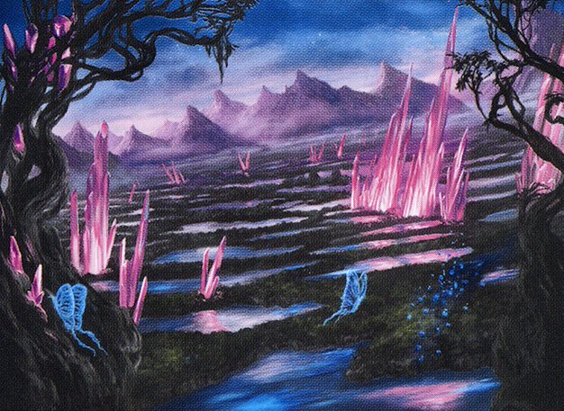 Swamp