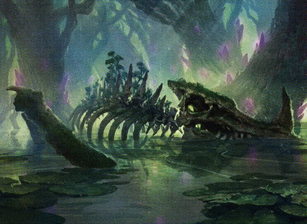Swamp