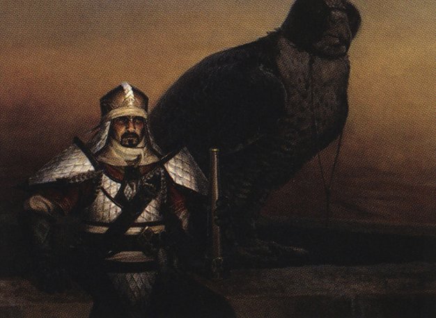 Abzan Falconer