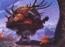 Dragonlord’s Servant