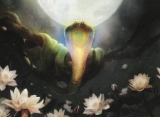 Lotus Cobra