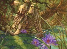 Nature’s Claim