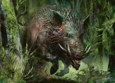 Festerhide Boar
