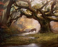 Forest