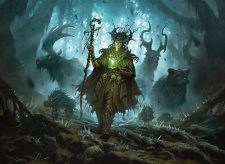 Hermit Druid