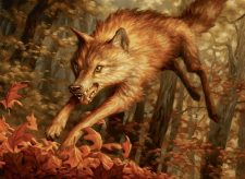Young Wolf