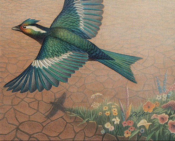 Dream Thrush