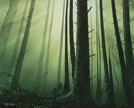 Forest