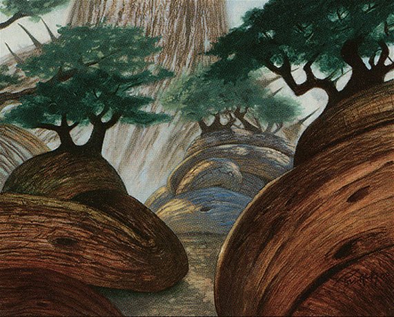 Forest