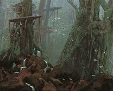 Forest