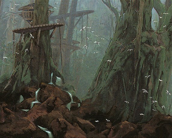 Forest