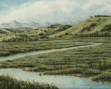 Irrigation Ditch