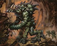 Kavu Monarch