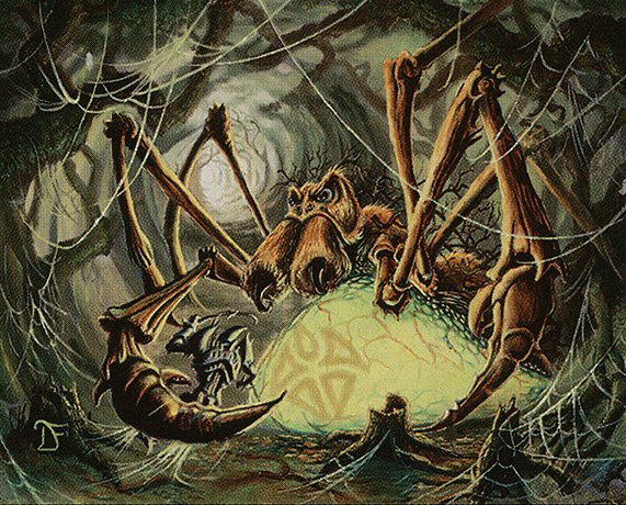 Pincer Spider