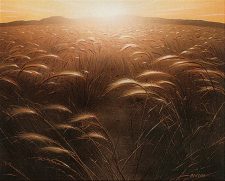 Plains