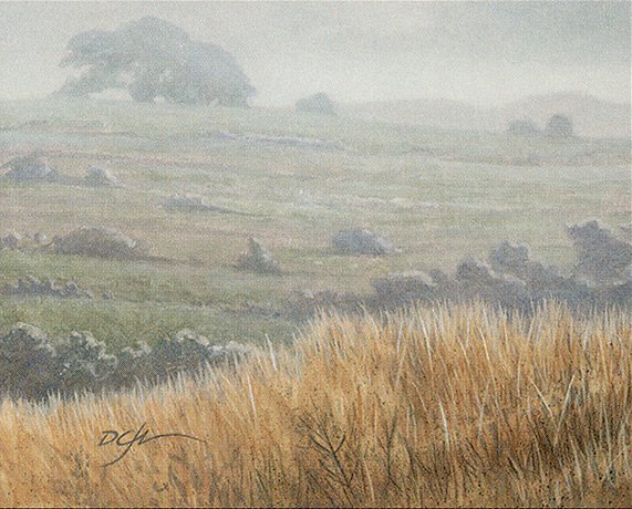 Plains