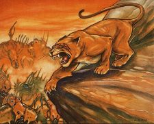 Scarred Puma