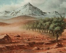 Shivan Oasis