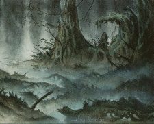 Swamp