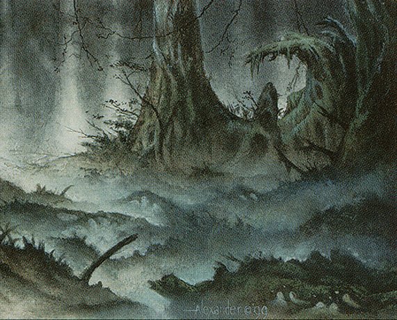 Swamp