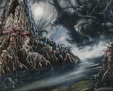 Swamp