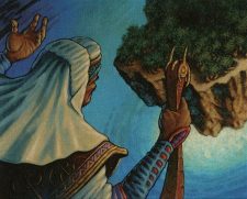 Teferi’s Response