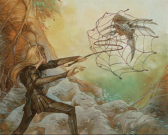 Whip Silk