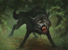 Darkthicket Wolf