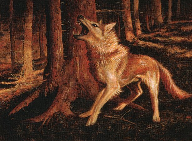 Feral Ridgewolf