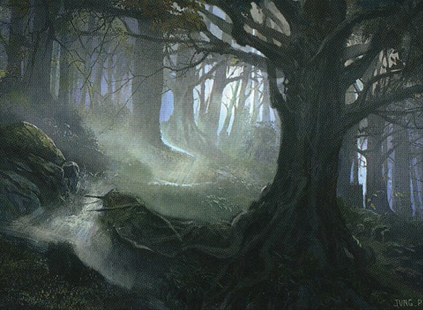Forest