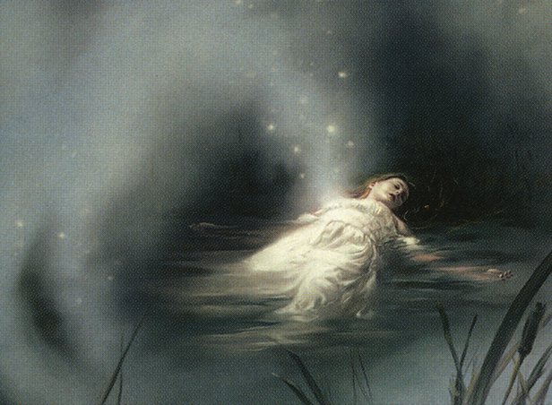 Lost in the Mist