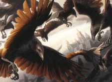 Murder of Crows
