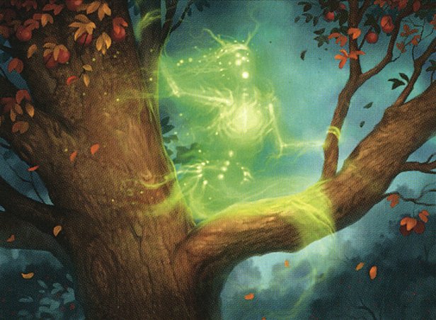 Orchard Spirit
