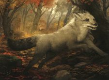 Silverchase Fox