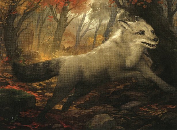 Silverchase Fox