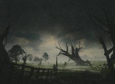 Swamp