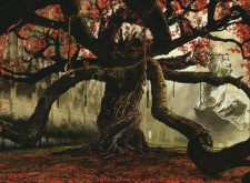 Tree of Redemption
