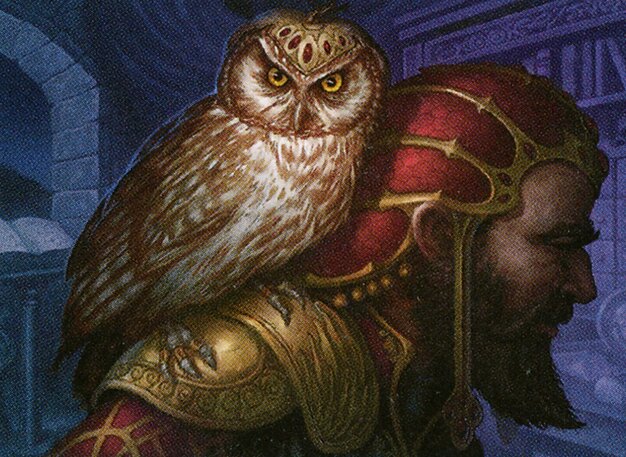 Augury Owl