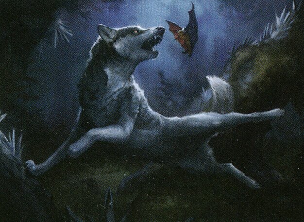 Bounding Wolf