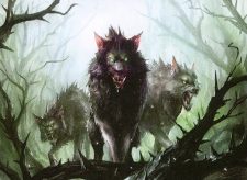 Briarpack Alpha