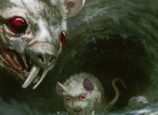 Chittering Rats