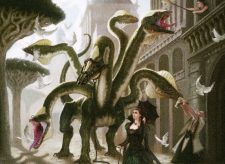 Domesticated Hydra